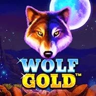 Wolf-Gold